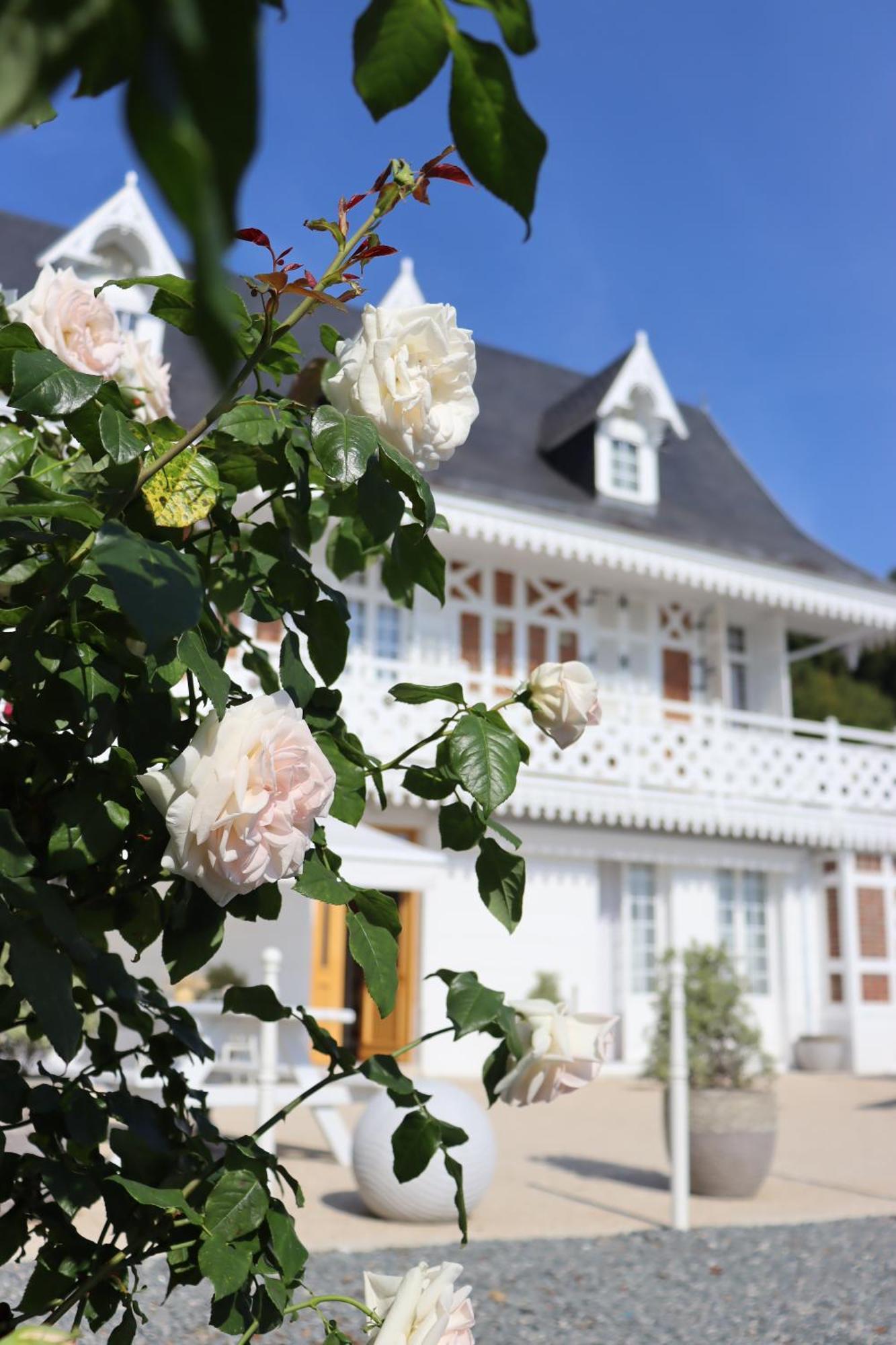 White House, Maison D'Hotes Villequier Exterior photo